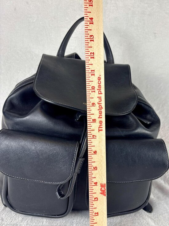 Coach Crosby Backpack in Black Natural Grain Leather main image 14